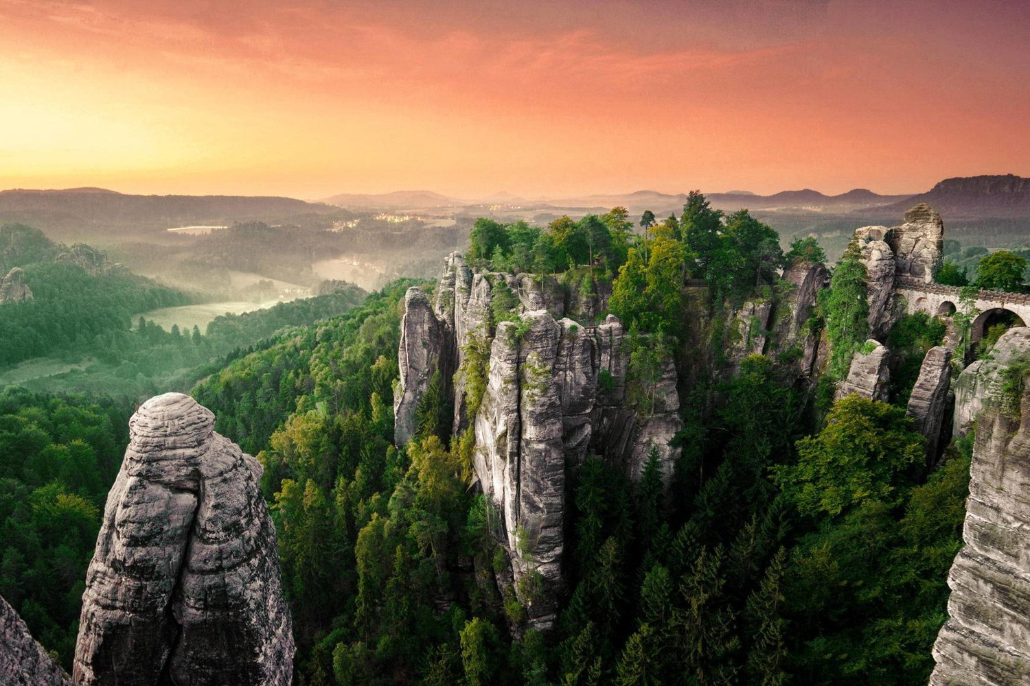 Cliffs and forest at sunset